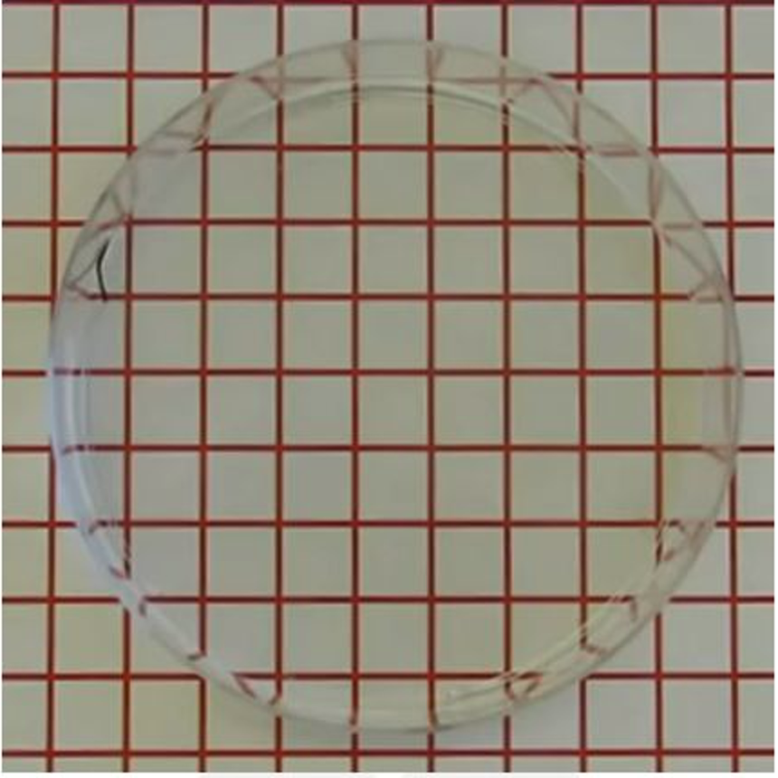 Vista superior de una placa circular transparente con líquido sobre una cuadrícula roja; una planaria pequeña se observa junto al borde de la placa.