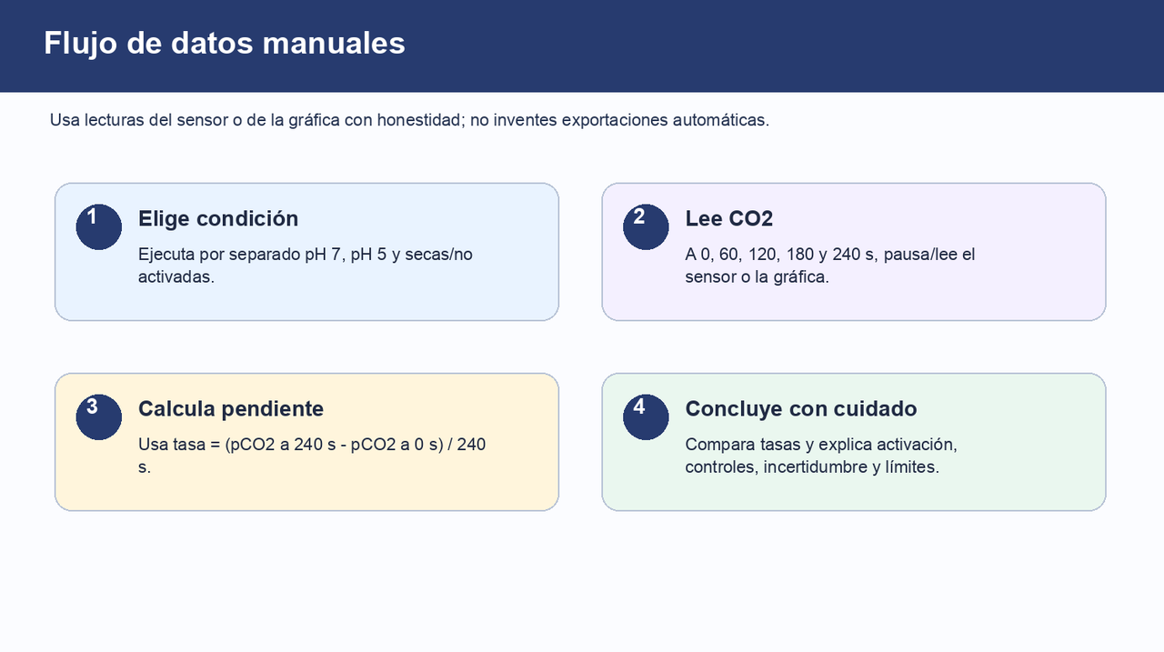 Flujo de cuatro pasos: elegir condición, leer CO2 en tiempos fijos, calcular pendiente y escribir una conclusión cuidadosa.