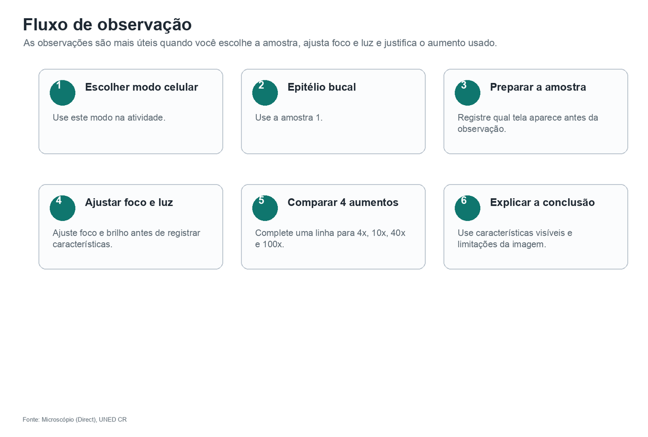 Seis etapas: escolher o modo de amostras celulares, selecionar epitélio bucal e amostra 1, preparar a amostra, ajustar foco e luz, comparar quatro aumentos e explicar a conclusão.