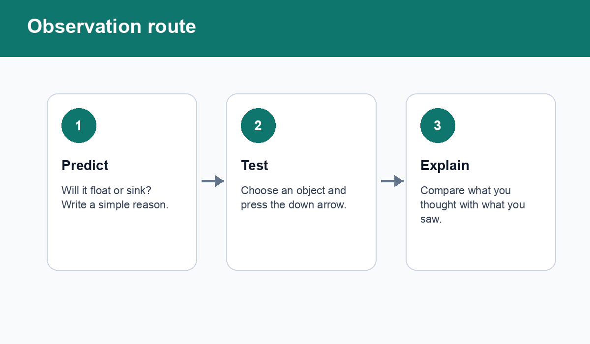 Three-step route for primary students: predict, test in the lab, and explain the observation.