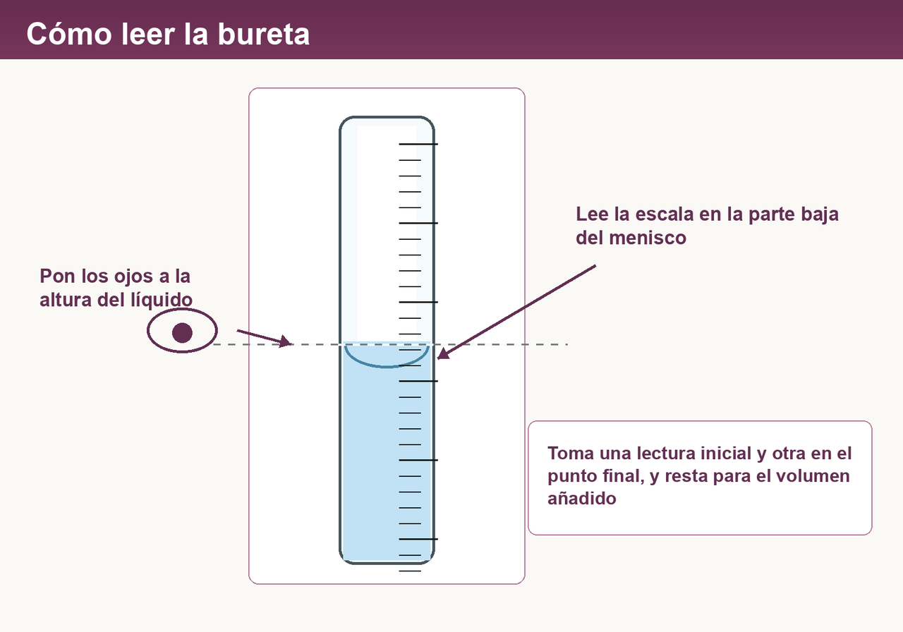 Cómo leer una bureta: a la altura de los ojos, lee la escala en la parte baja del menisco curvo. Toma una lectura antes de empezar y otra en el punto final.