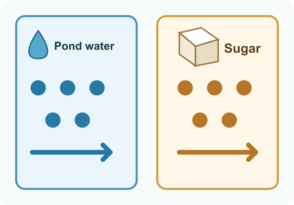 Prediction of a similar number: five dots in the pond-water panel and five in the sugar panel.