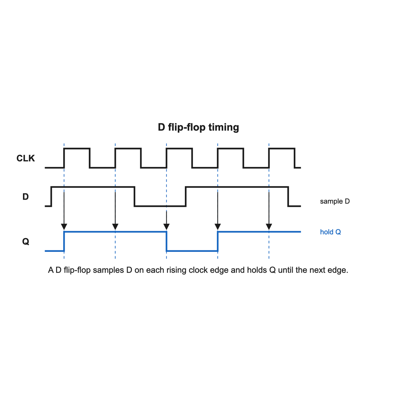 Timing diagram of a D flip-flop: a clock square wave, a data signal D that changes at arbitrary times, and the output Q which only changes to match D at each rising clock edge and holds that value flat until the next rising edge — illustrating sample-and-hold.