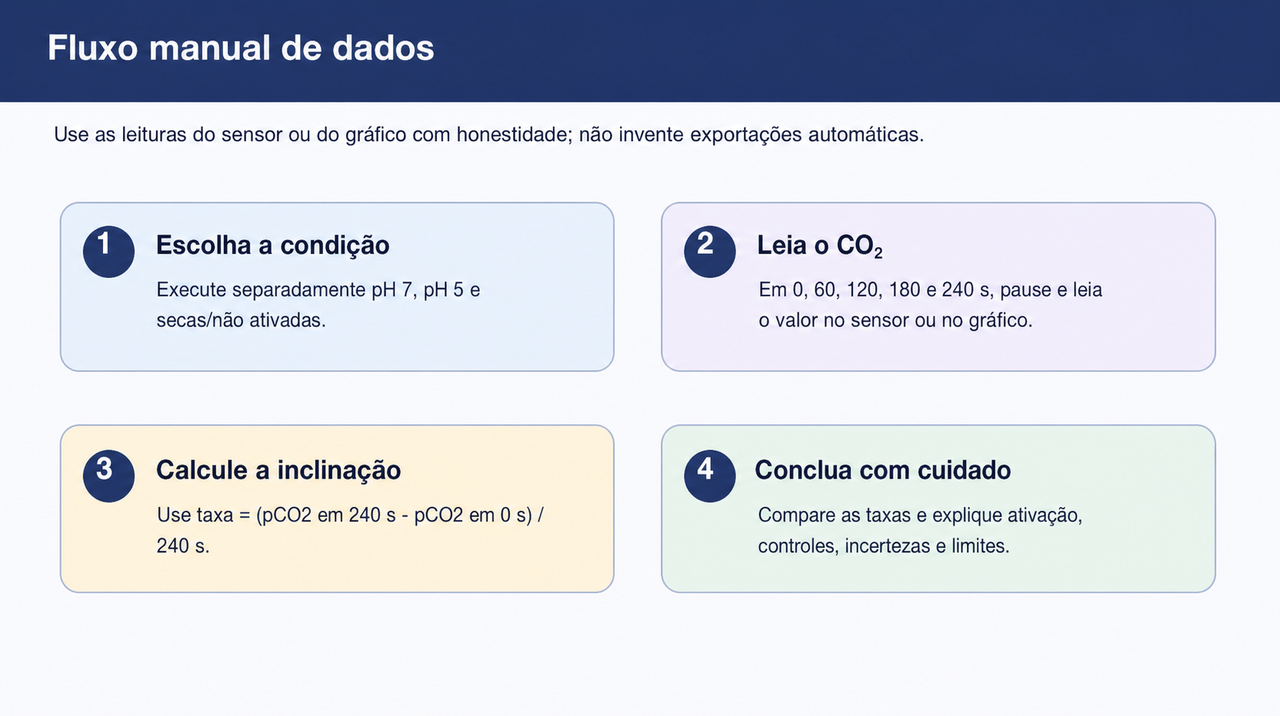 Fluxo de quatro etapas: escolher a condição, ler o CO₂ em tempos fixos, calcular a inclinação e formular uma conclusão cuidadosa.