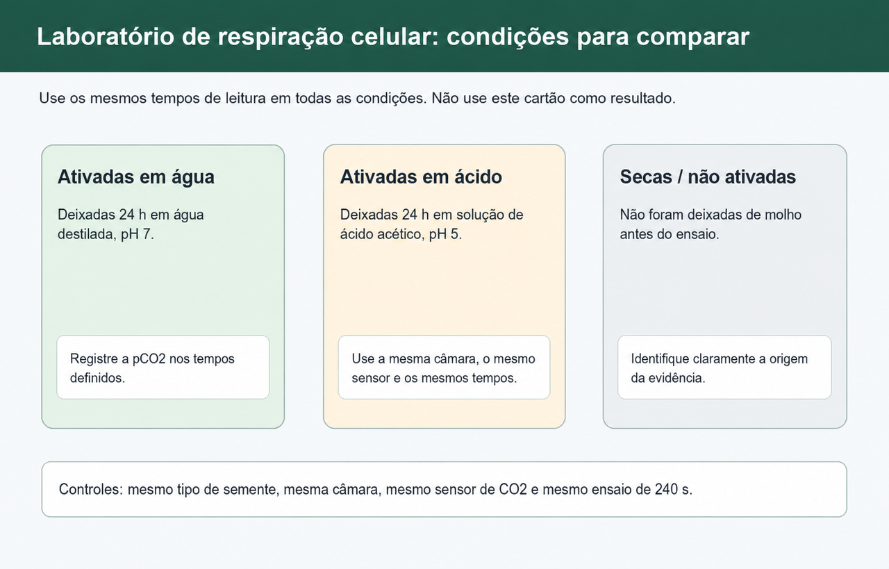 Três cartões de condição mostrando sementes ativadas em água, ativadas em ácido e secas ou não ativadas, sem revelar os resultados.
