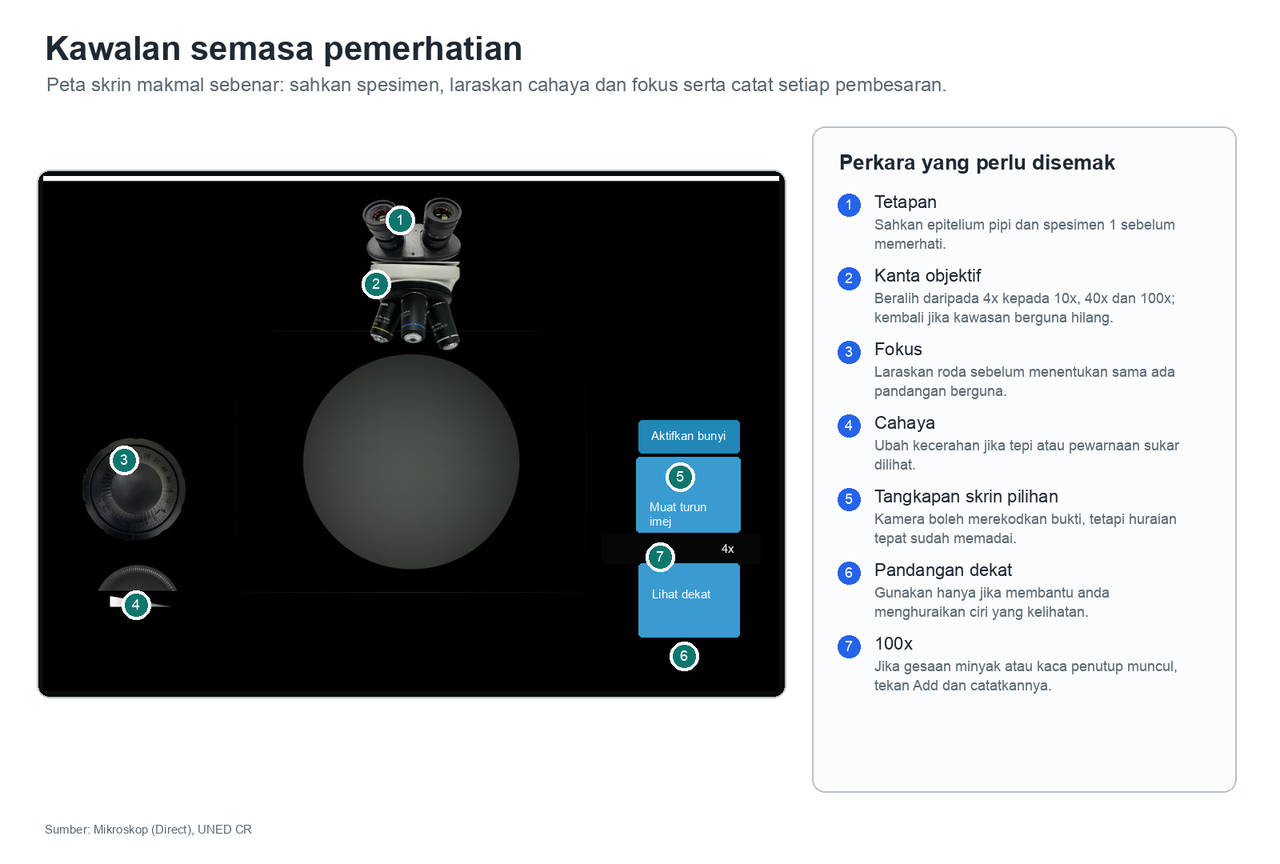 Tangkapan skrin makmal beranotasi yang menunjukkan pemilihan spesimen, pembesaran, fokus, kecerahan, pandangan dekat dan arahan penyediaan untuk 100x.