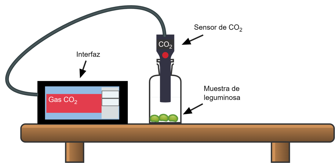Diagrama del laboratorio remoto de Respiración celular con semillas dentro de una cámara cerrada, un sensor de gas CO2 y una pantalla de interfaz.