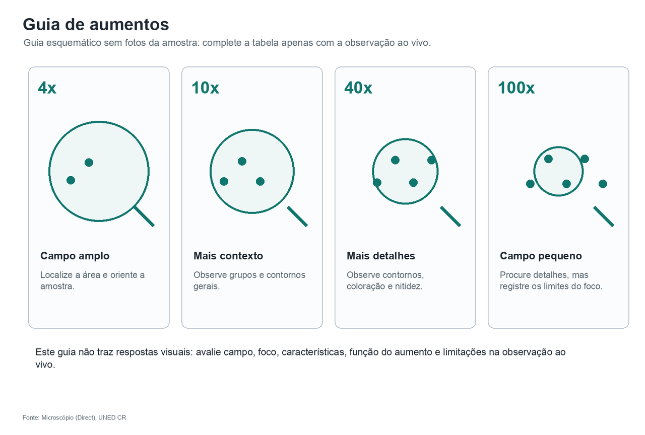 Guia esquemático para 4x, 10x, 40x e 100x, sem imagens reais da amostra, indicando o que comparar em cada linha.