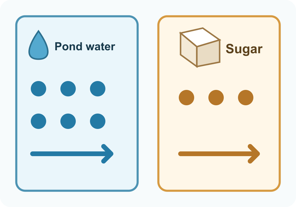 Prediction of fewer crossings in sugar water: six dots in the pond-water panel and three in the sugar panel.