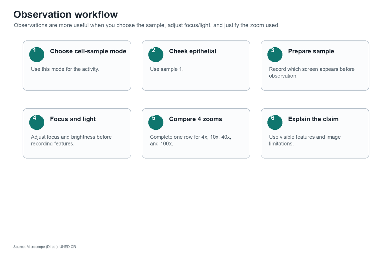 Six steps: choose cell-sample mode, select cheek epithelial and sample 1, prepare the sample, focus and light, compare four zoom levels, and explain the claim.