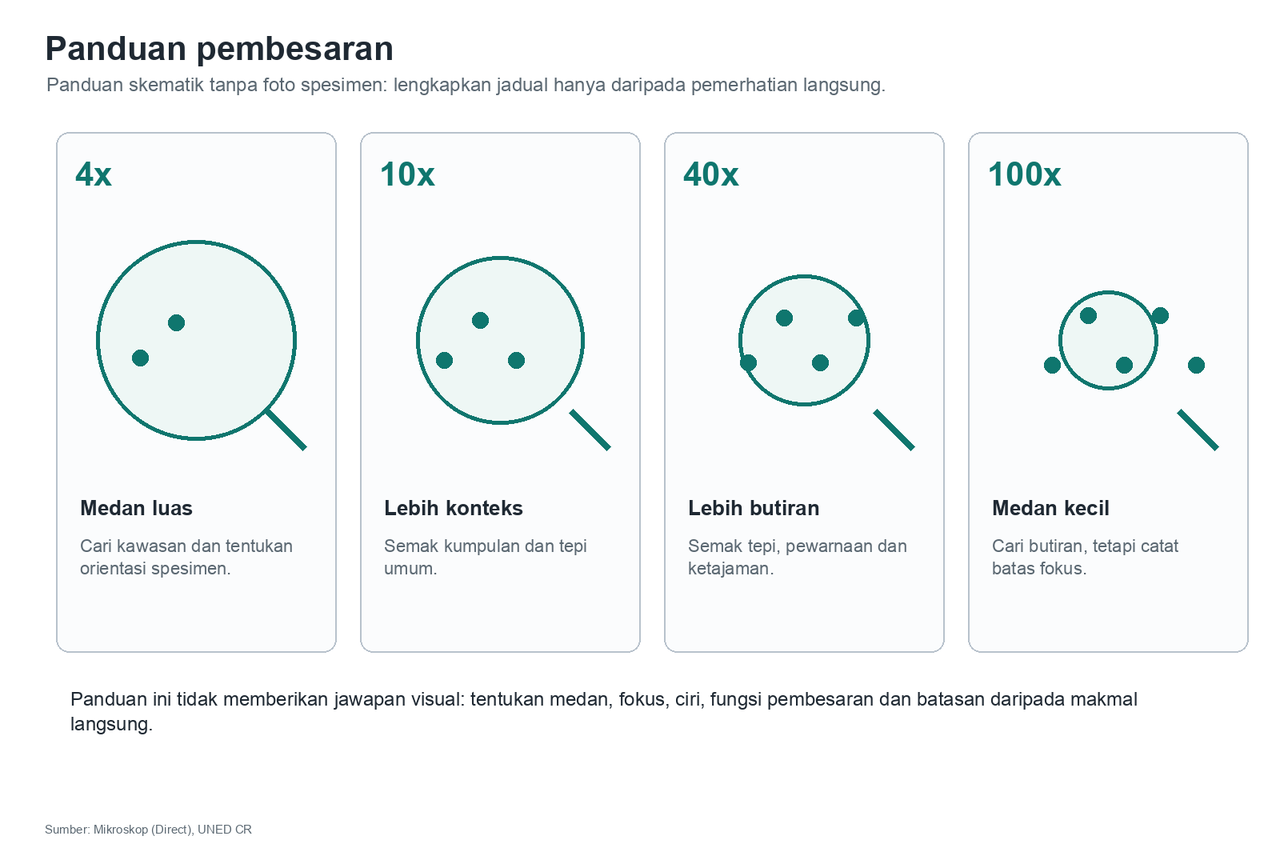 Panduan skematik untuk 4x, 10x, 40x dan 100x tanpa imej spesimen sebenar, yang mengingatkan murid tentang perkara yang perlu dibandingkan dalam setiap baris.