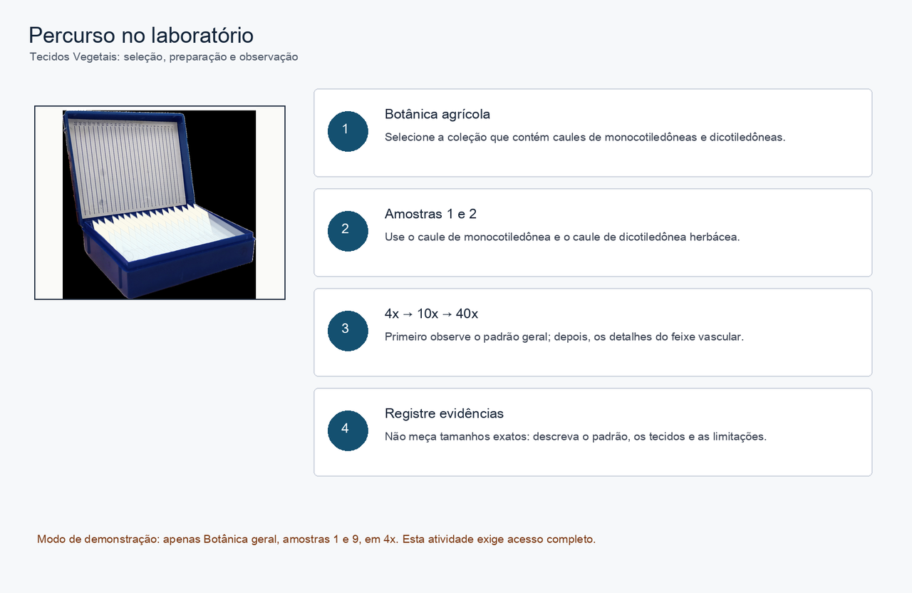 Percurso visual: Botânica agrícola, amostras 1 e 2, ampliações de 4x, 10x e 40x e registro de evidências.