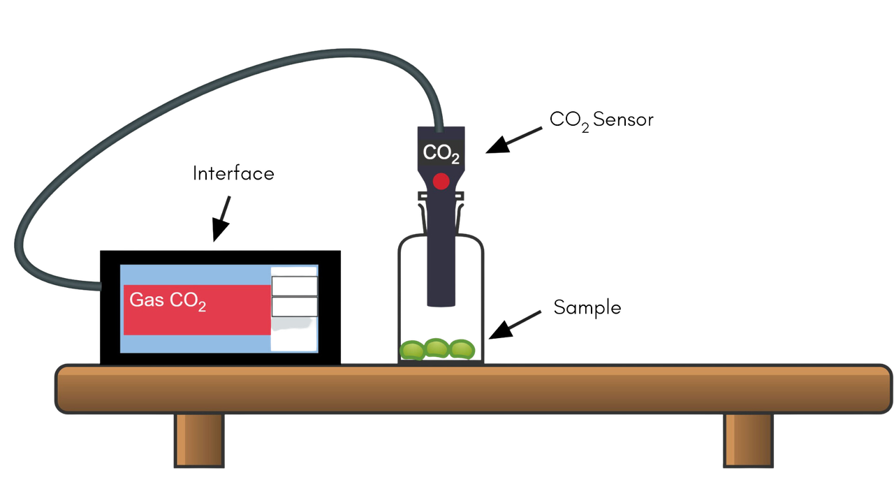 Diagram of the Cellular Respiration remote lab with seeds inside a sealed chamber, a CO2 gas sensor, and an interface display.