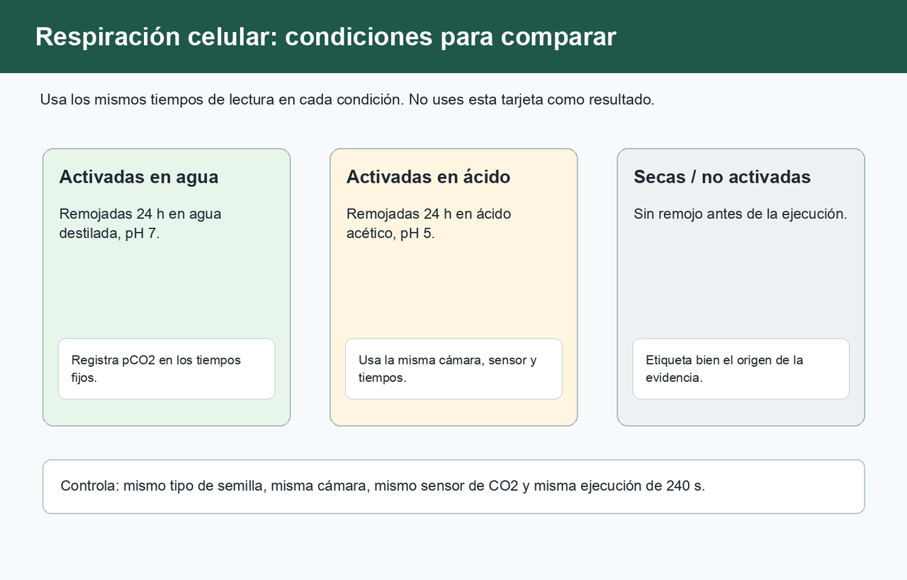 Tres tarjetas de condición muestran semillas activadas en agua, activadas en ácido y secas/no activadas sin revelar resultados.