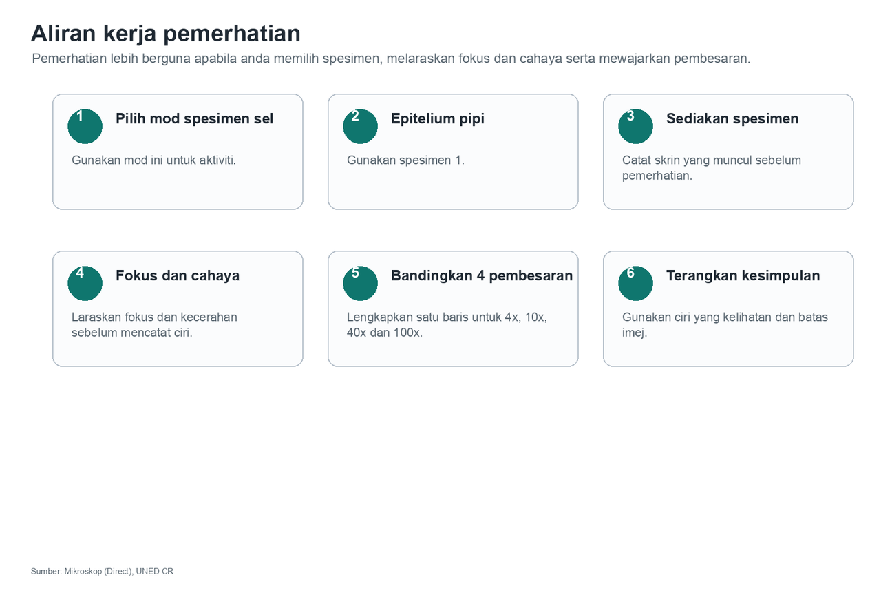 Enam langkah: pilih mod spesimen sel, pilih epitelium pipi dan spesimen 1, sediakan spesimen, laraskan fokus dan cahaya, bandingkan empat tahap pembesaran dan jelaskan kesimpulan.