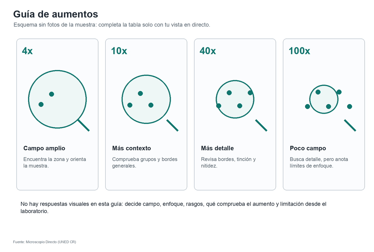 Guía esquemática de 4x, 10x, 40x y 100x sin imágenes reales de la muestra, para recordar qué comparar en cada fila.