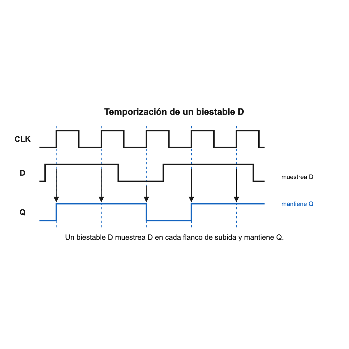 Diagrama temporal de un biestable D: una onda cuadrada de reloj, una señal de datos D que cambia en momentos arbitrarios y la salida Q, que solo cambia para copiar D en cada flanco de subida del reloj y mantiene ese valor hasta el siguiente flanco.