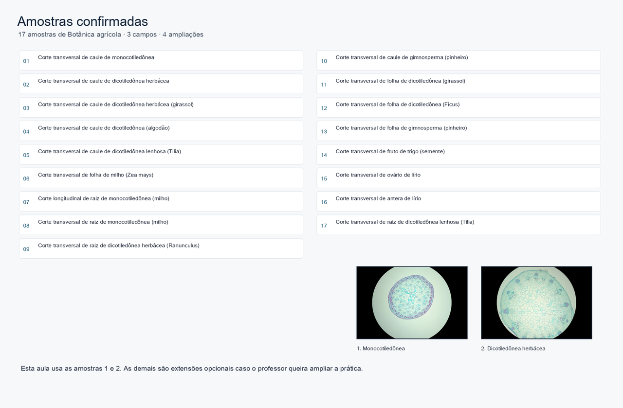 Lista das 17 amostras confirmadas de Botânica agrícola e duas micrografias reais de caules em baixa ampliação.