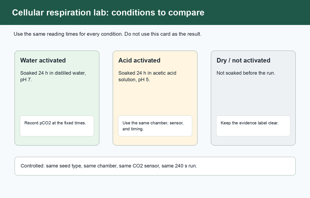Three condition cards showing water-activated seeds, acid-activated seeds, and dry not-activated seeds without revealing results.